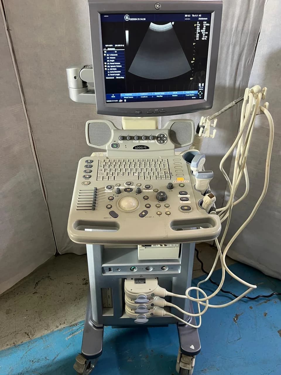 GE Logiq P6 Ultrasound Machine