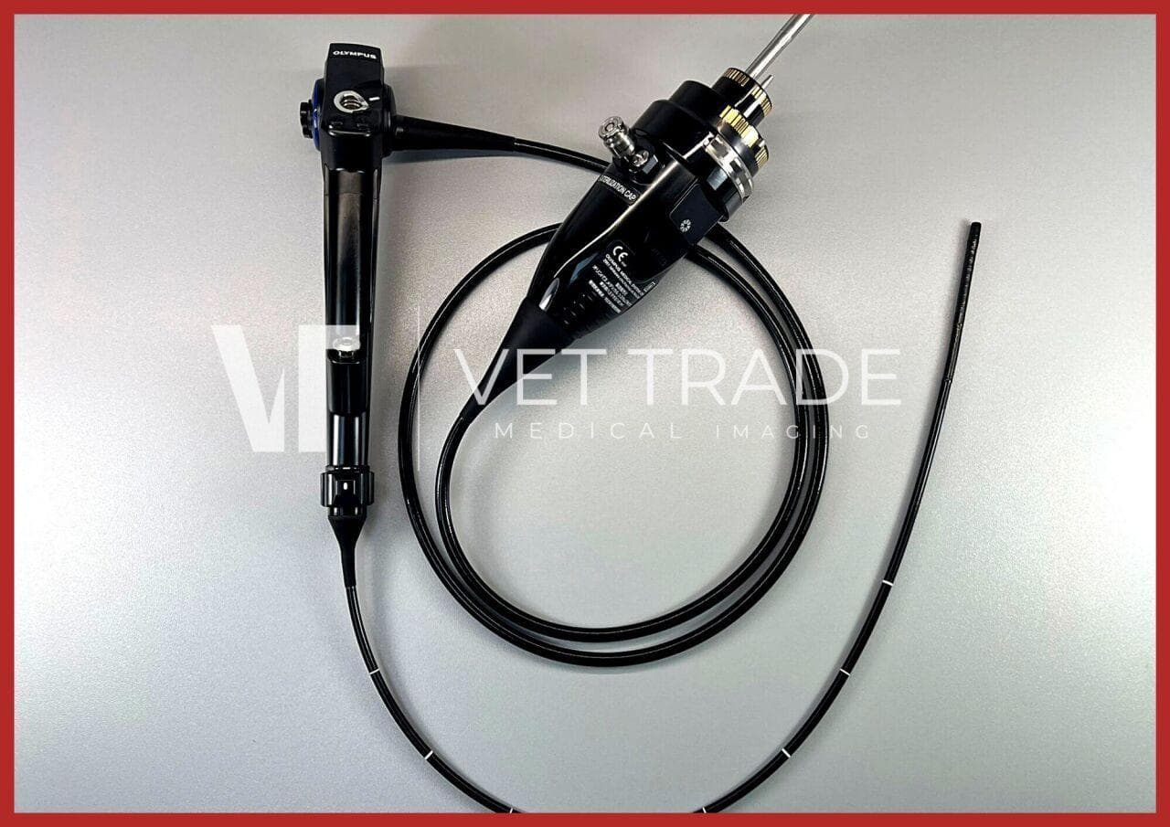 OLYMPUS BF-Q190 Video bronchoscope