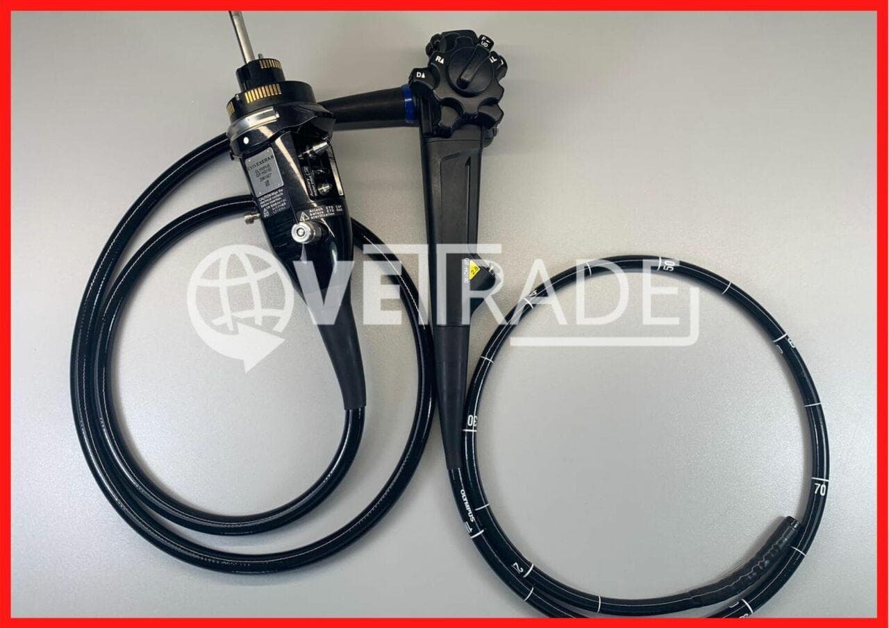OLYMPUS GIF-HQ190 Video gastroscope