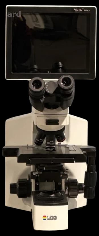 FISHER SCIENTIFIC Laxco SeBa Pro4B Laboratory microscope
