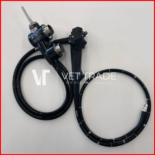 OLYMPUS GF-UCT260 Ultrasound gastroscope