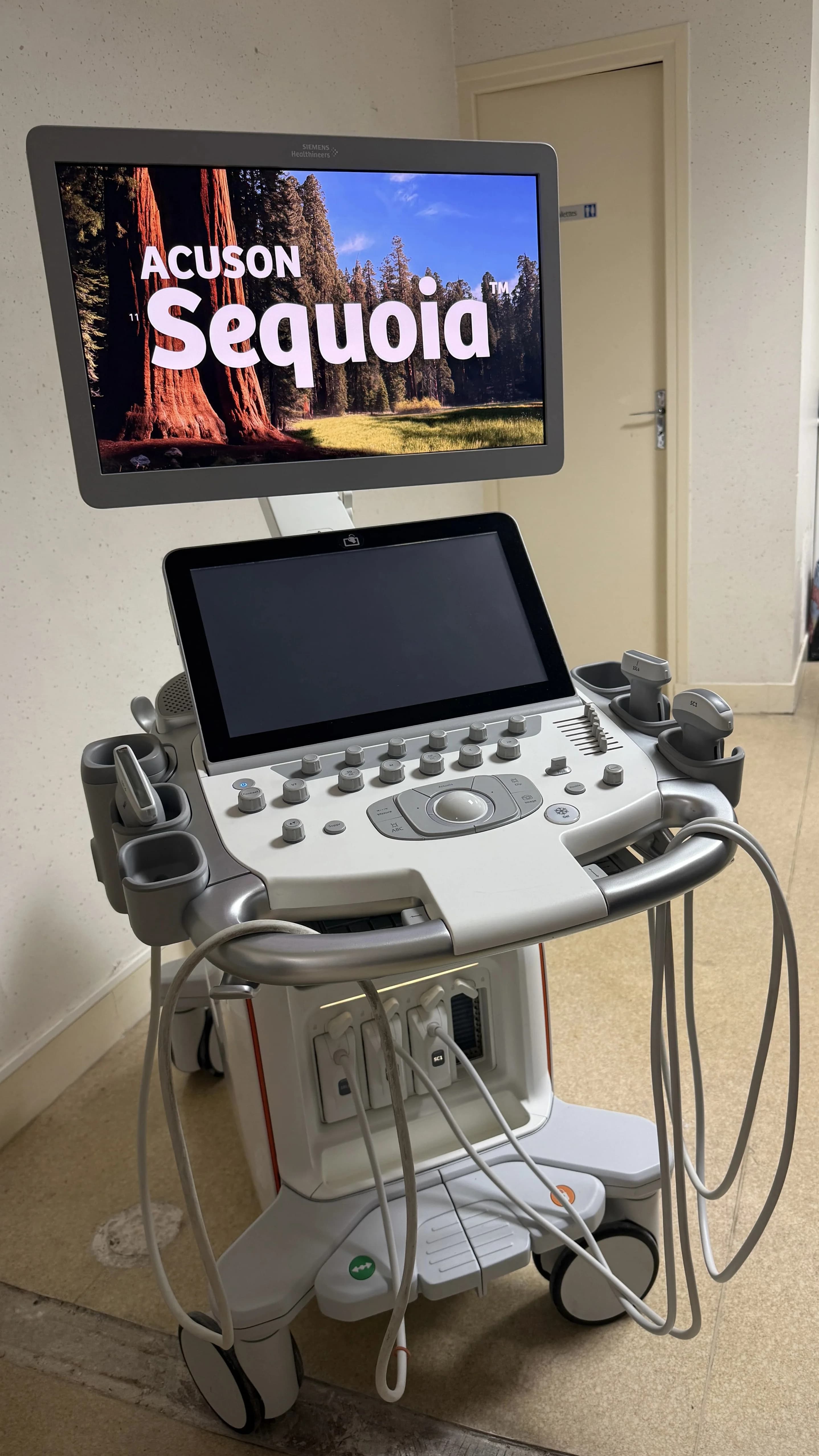 SIEMENS ACUSON Sequoia Ultrasound Machine