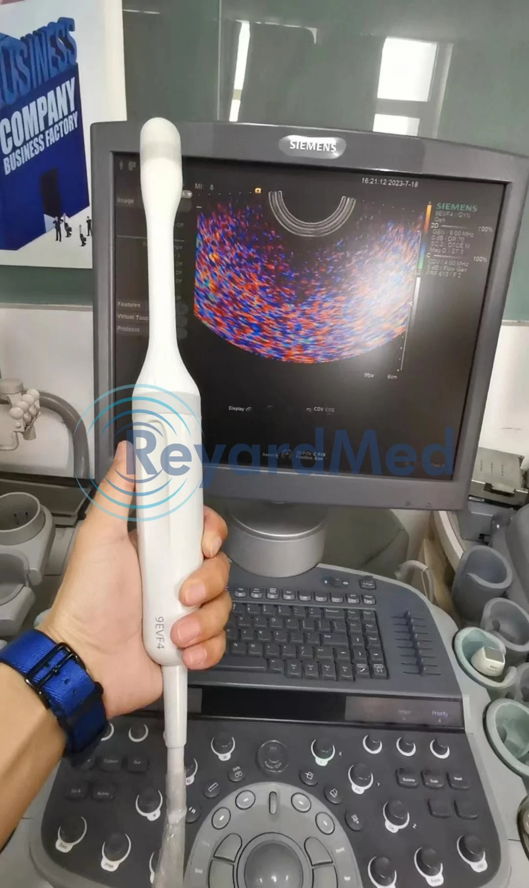 SIEMENS 9EVF4 4D endocavity probe