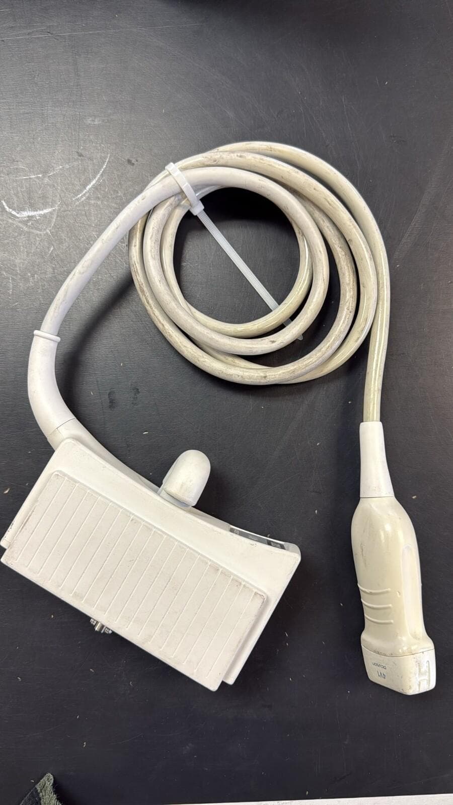 SIEMENS 4V1 Cardiac Probe
