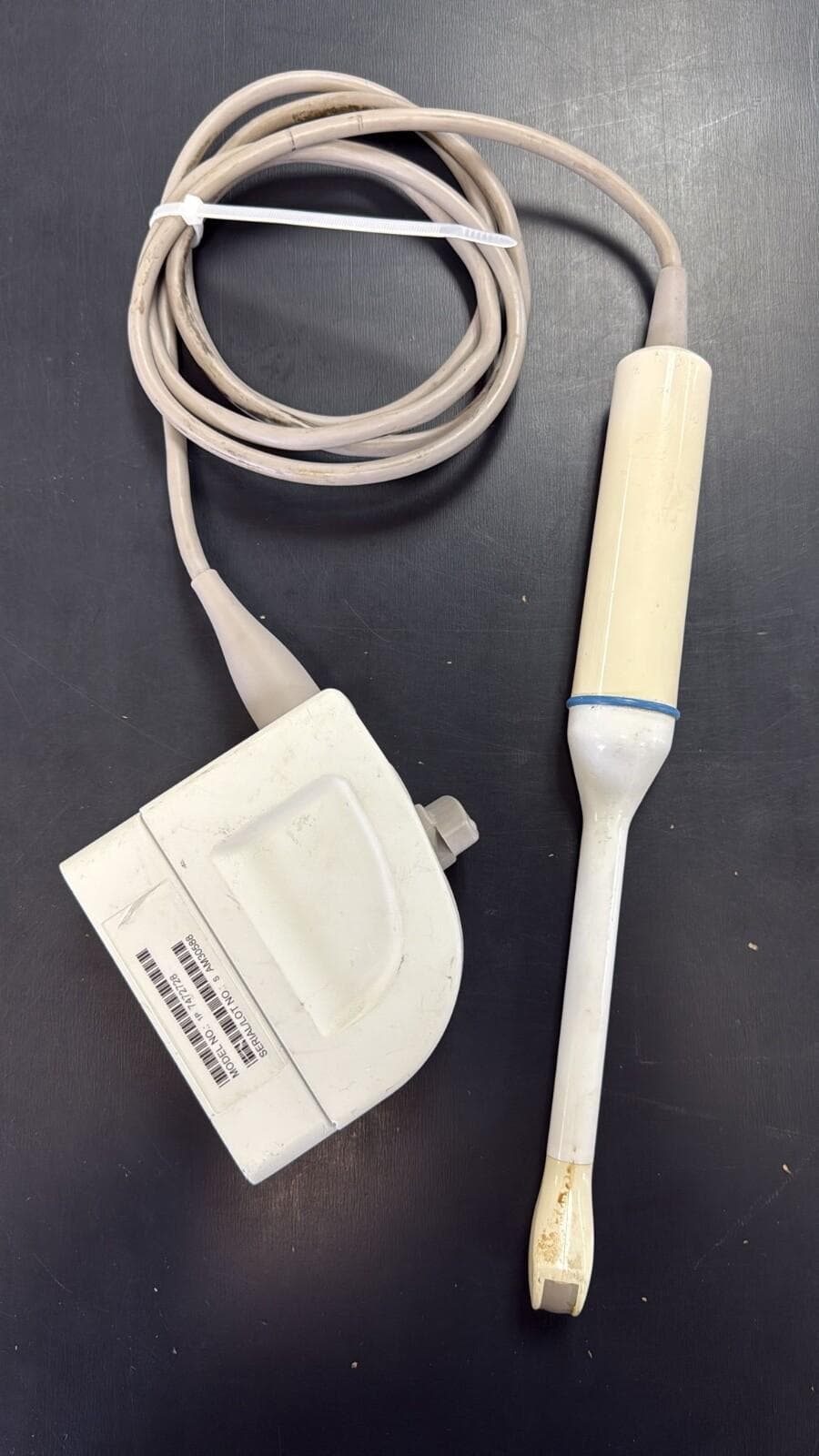 SIEMENS EV9-4 Endocavity probe