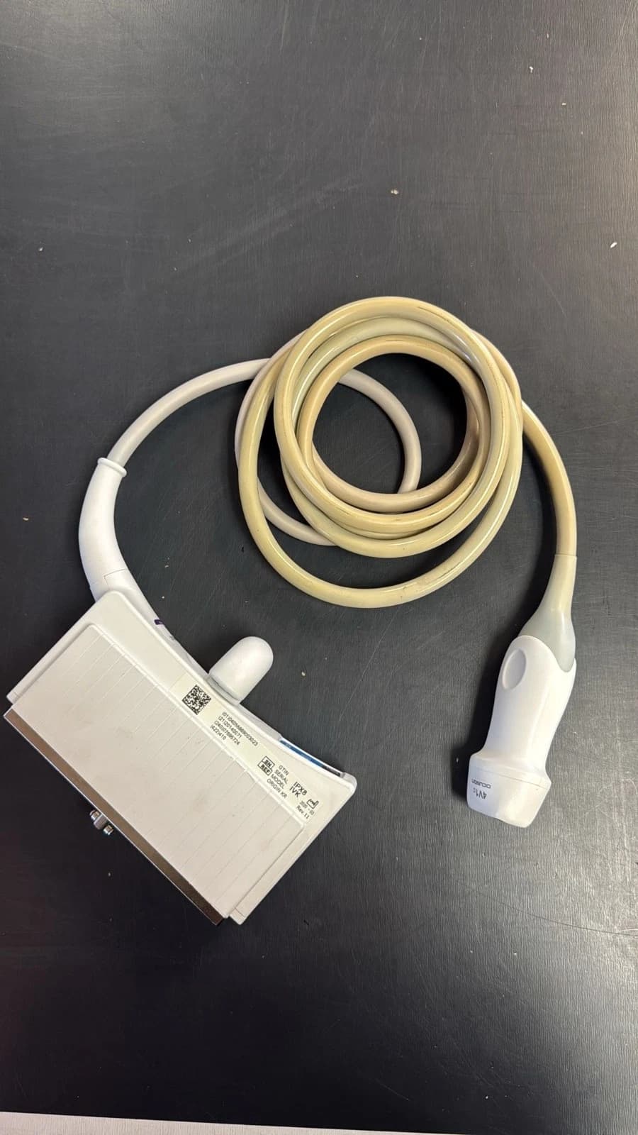 SIEMENS 4V1c Cardiac Probe