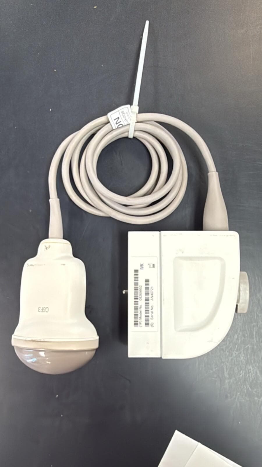 SIEMENS C6F3 Convex Probe