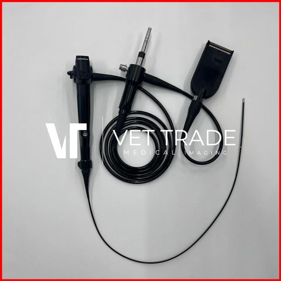 OLYMPUS URF-V3 Video ureteroscope
