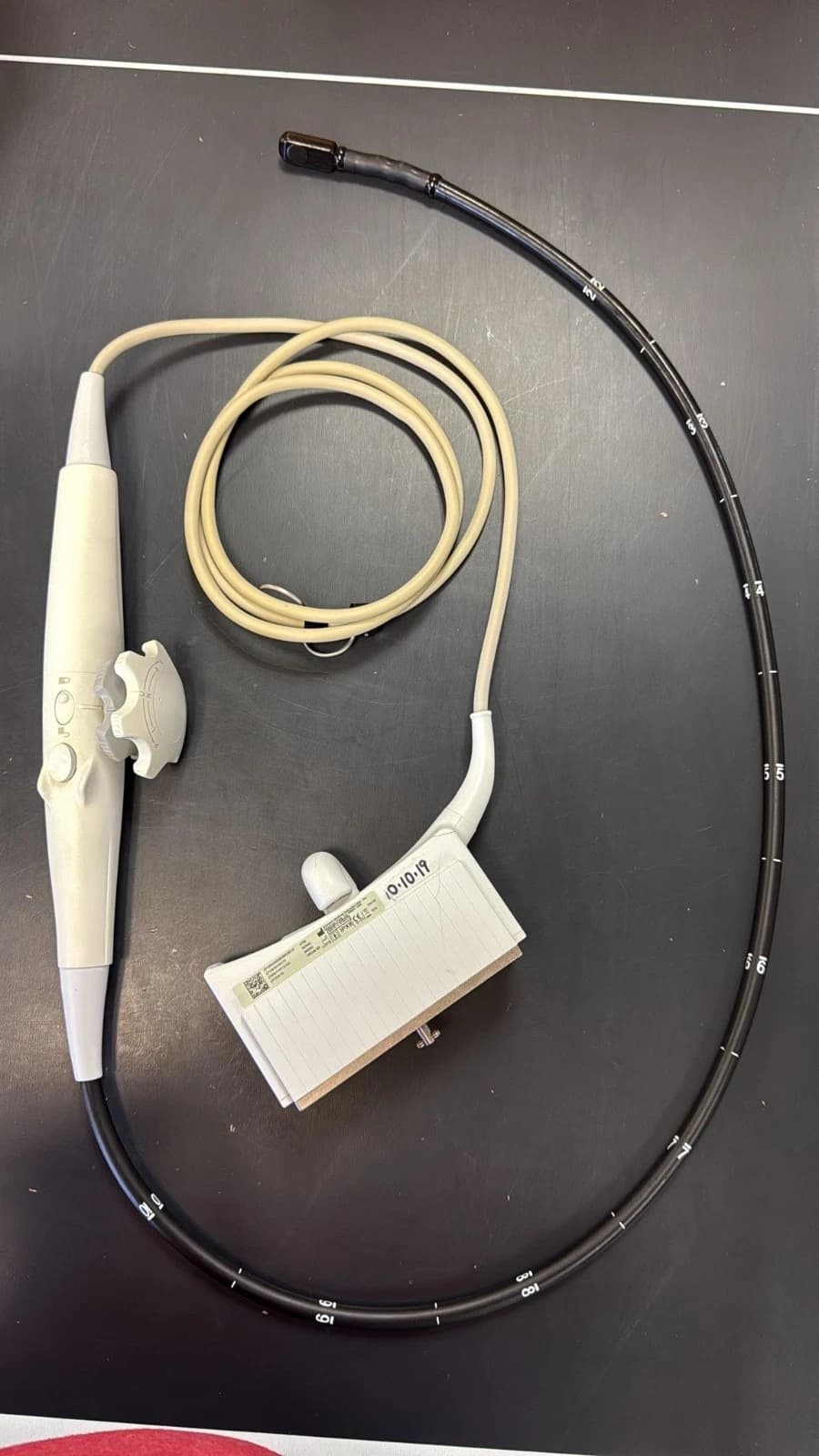 SIEMENS TE-V5Ms TEE Probe