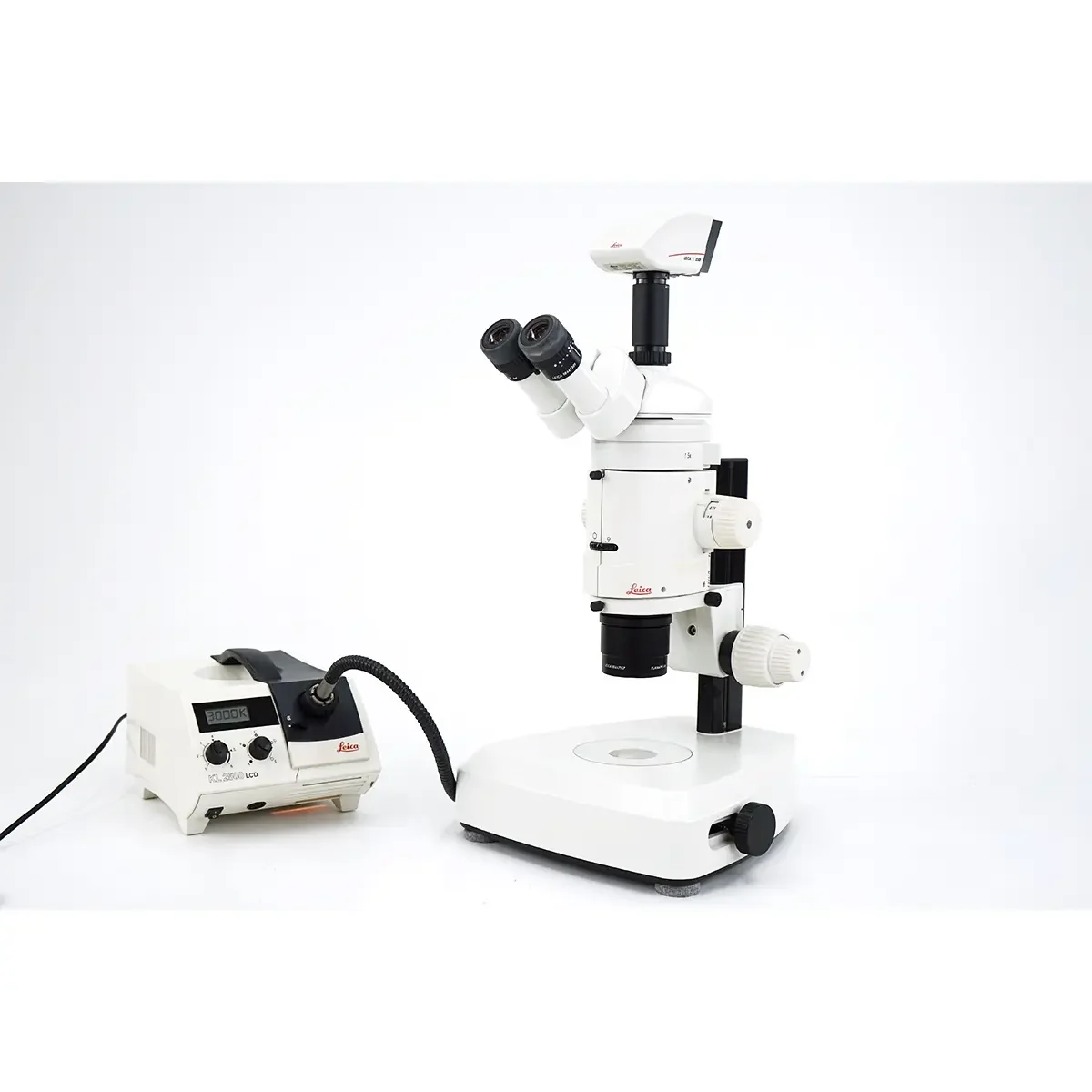LEICA MZ125 Stereo microscope
