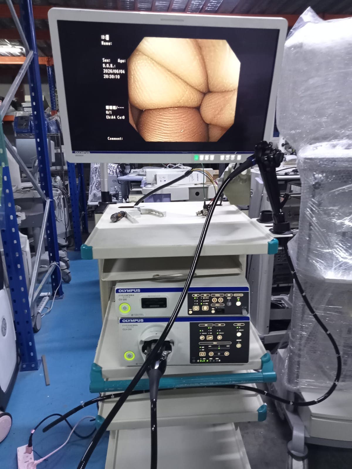 OLYMPUS Evis Lucera Elite 290 Endoscopy System