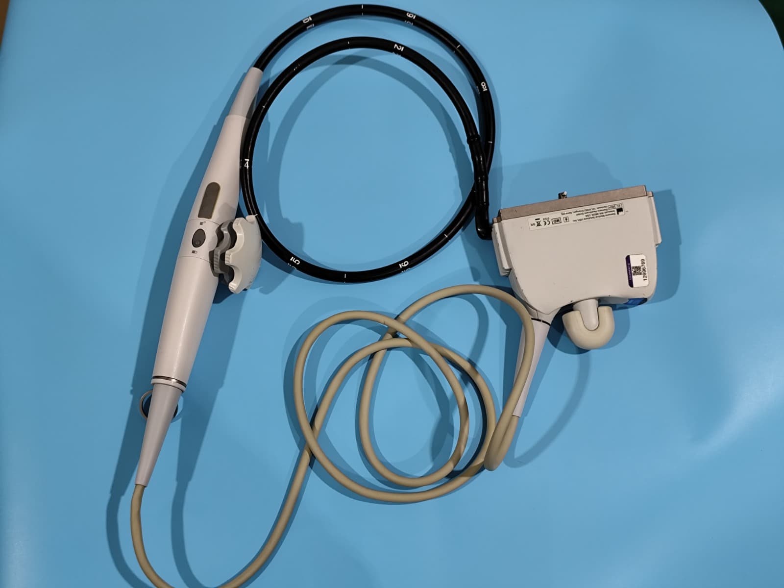 SIEMENS Z6Ms TEE Probe