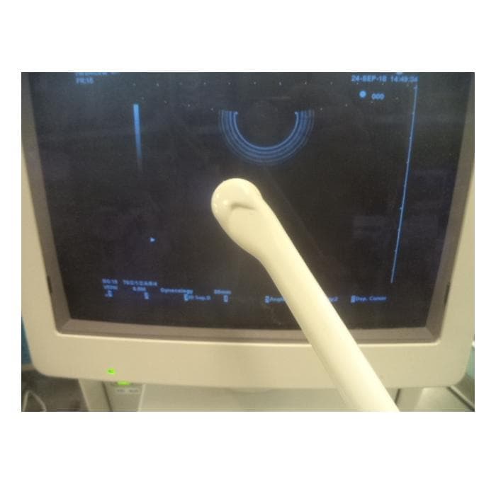 HITACHI EUP-V53W Endocavity probe