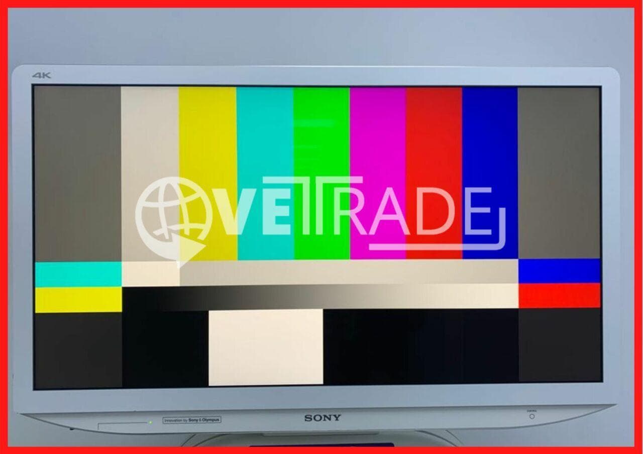 SONY LMD-X310S Surgical Display
