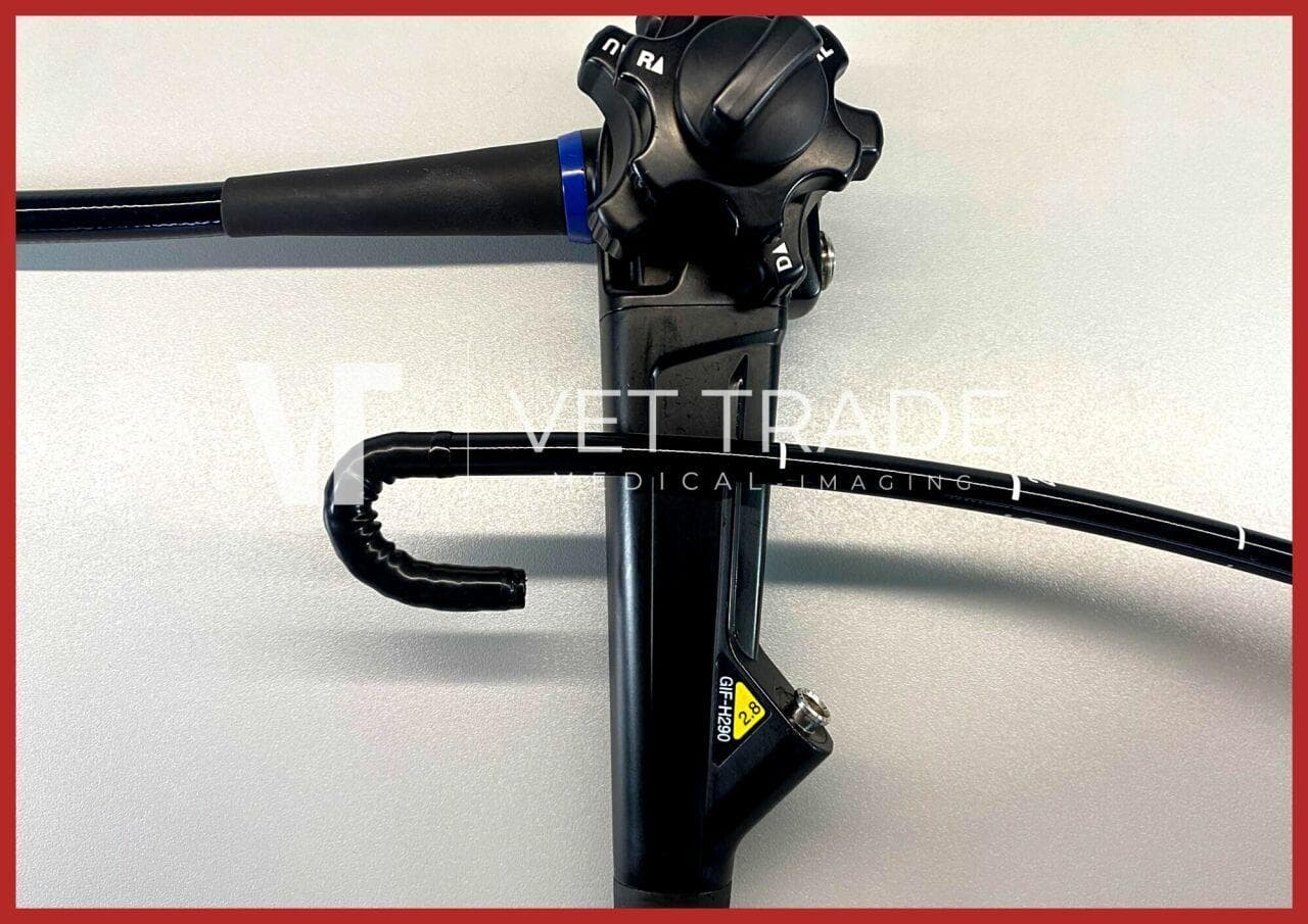 OLYMPUS GIF-H290 Video gastroscope