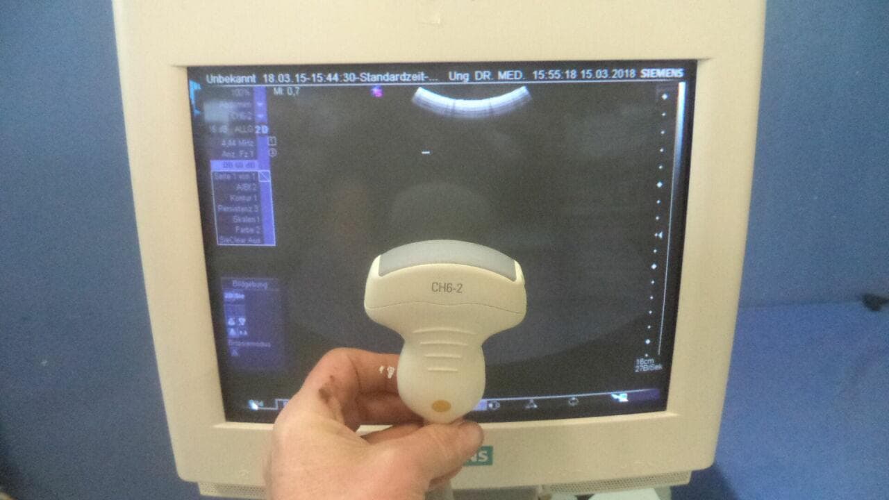SIEMENS CH6-2 Convex Probe