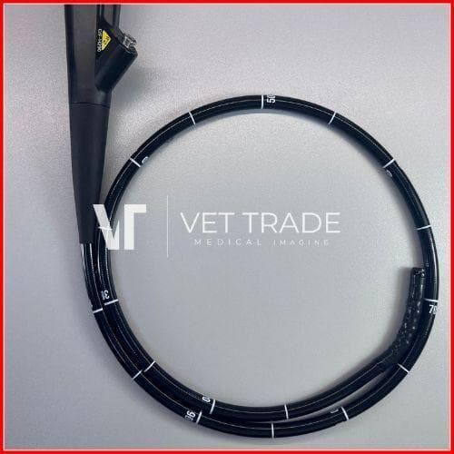 OLYMPUS GIF-H290 Video gastroscope