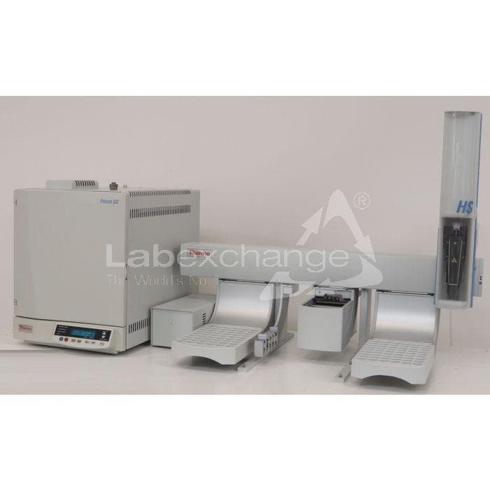 36846 Thermo Focus GC