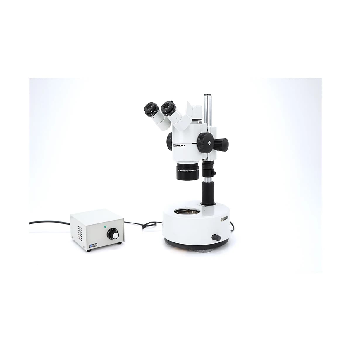 LEICA M8 Stereo microscope