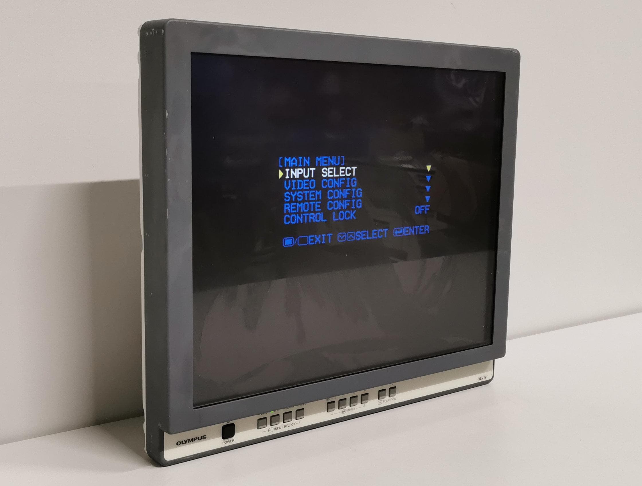 OLYMPUS OEV191 Surgical Display