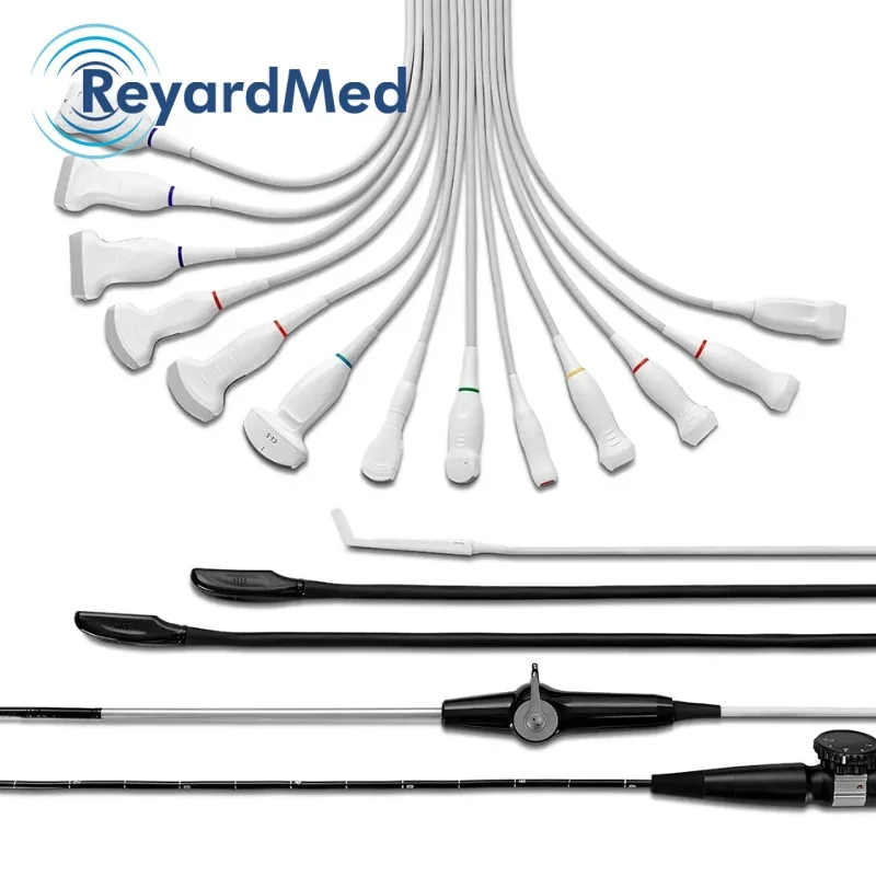LANDWIND 65C13N Endocavity probe