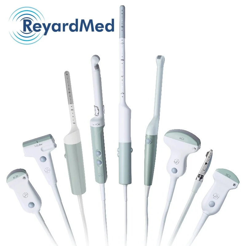 BK MEDICAL 8824 Linear Probe