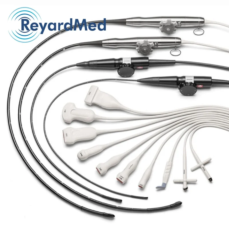PHILIPS BP10-5ec Endocavity probe