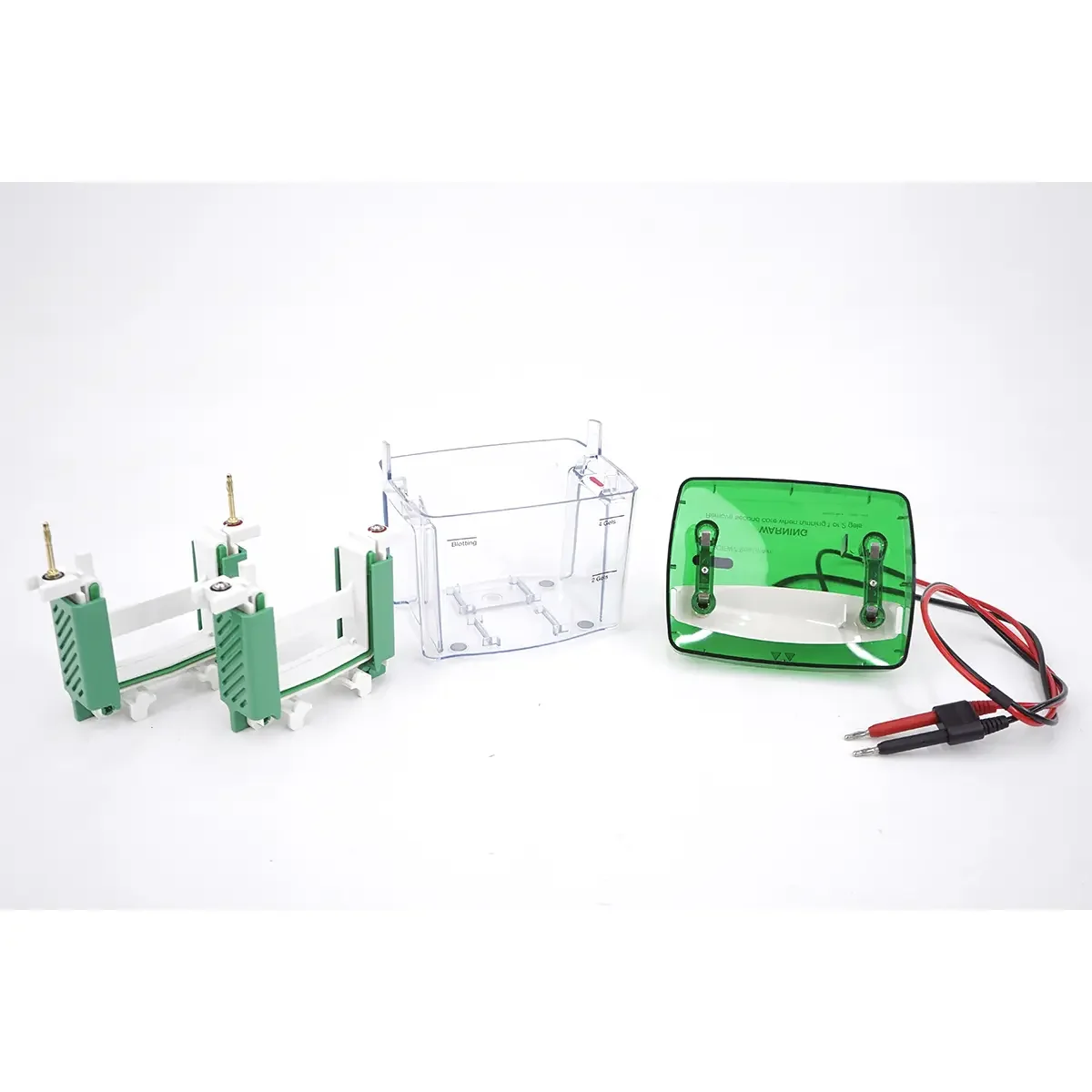 BIO-RAD Mini-Protean Tetra Cell Electrophoresis system
