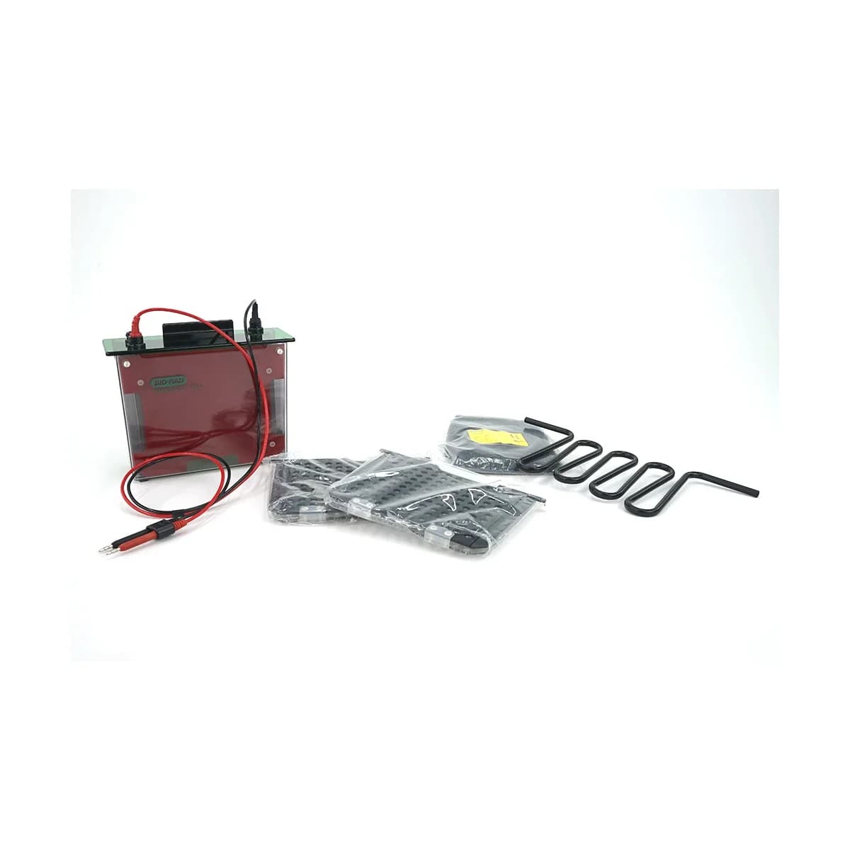BIO-RAD Trans-Blot Cell Electrophoresis system