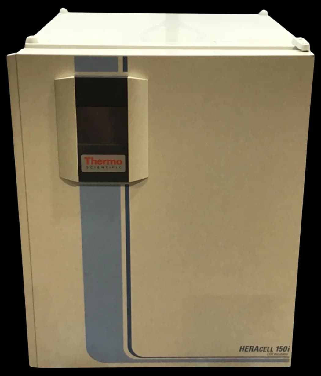 THERMO FISHER SCIENTIFIC HERAcell 150i Laboratory incubator