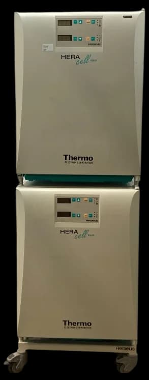 THERMO ELECTRON HERAcell 150 Laboratory incubator