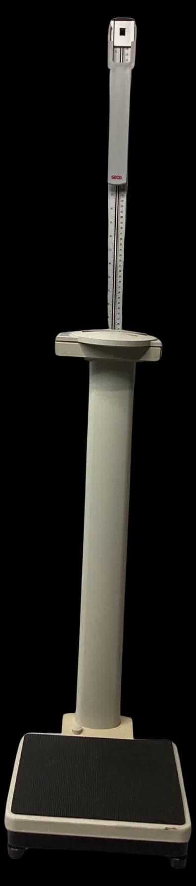 SECA 769 Platform scale