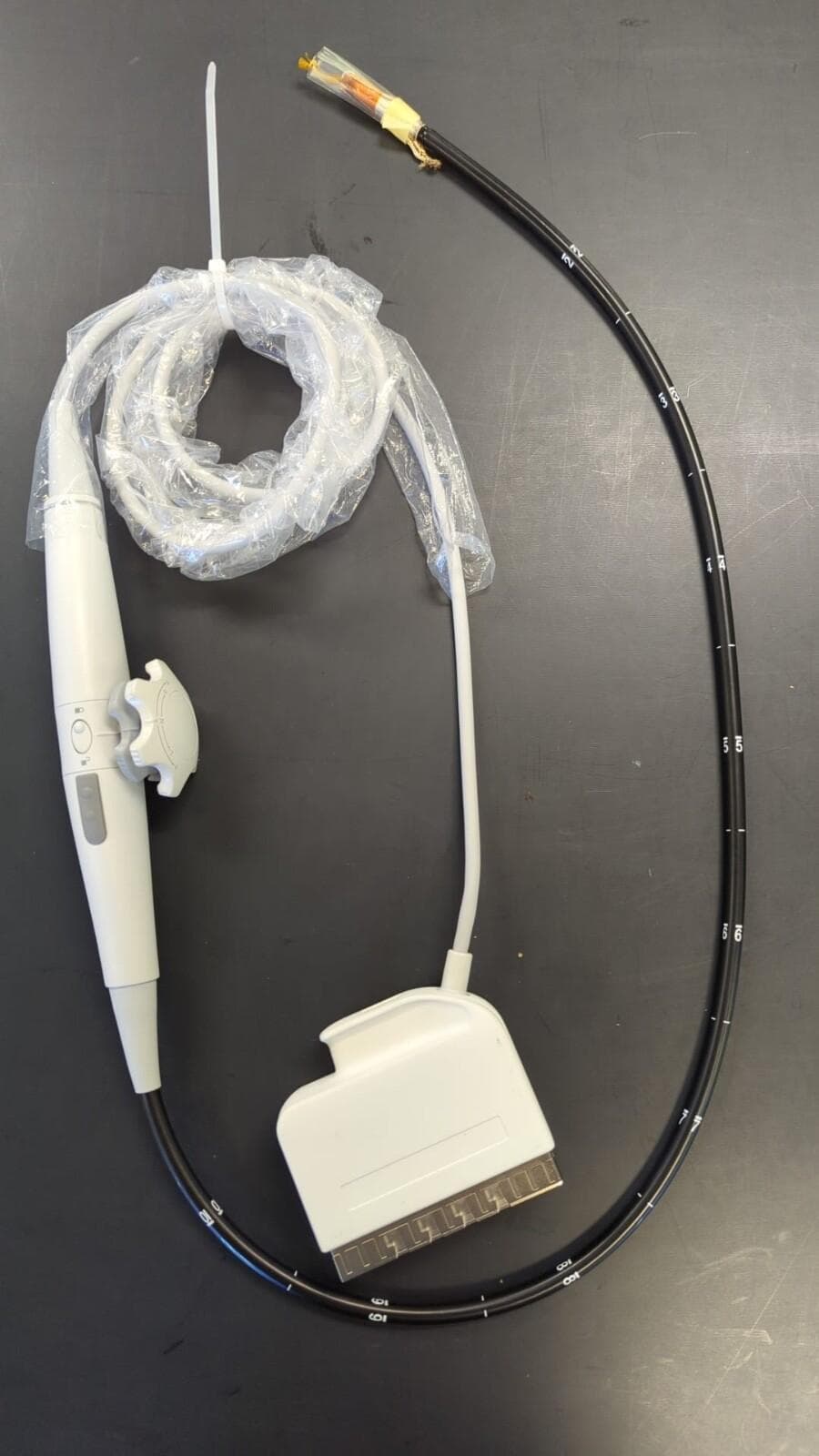 SIEMENS Z6Ms TEE Probe