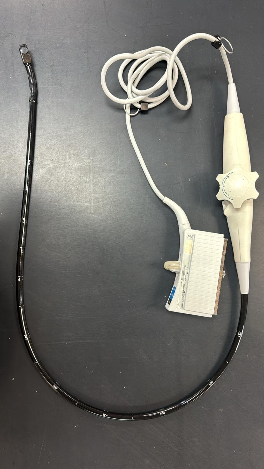 SIEMENS TE-V5Ms TEE Probe