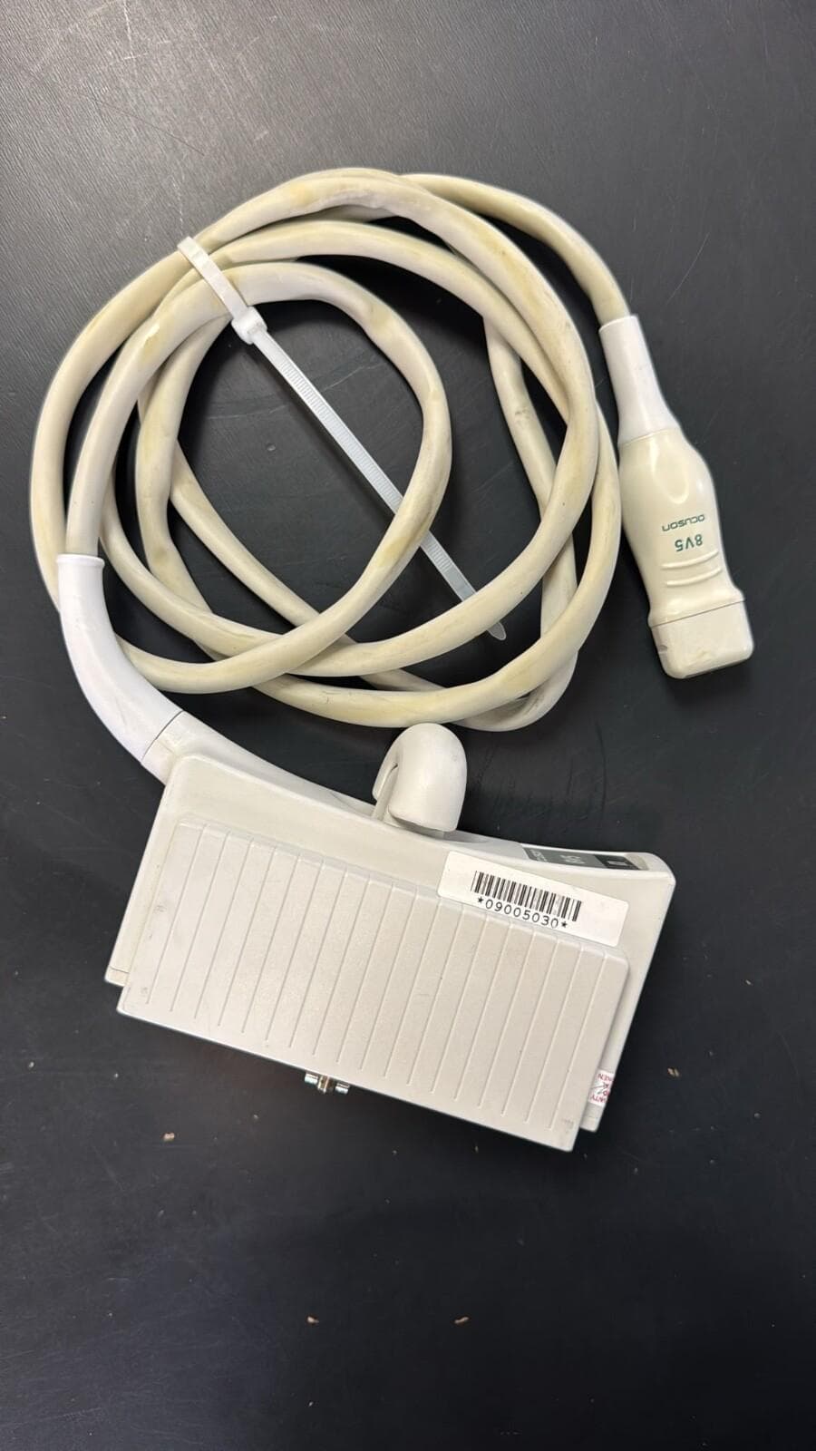 SIEMENS 8V5 Cardiac Probe