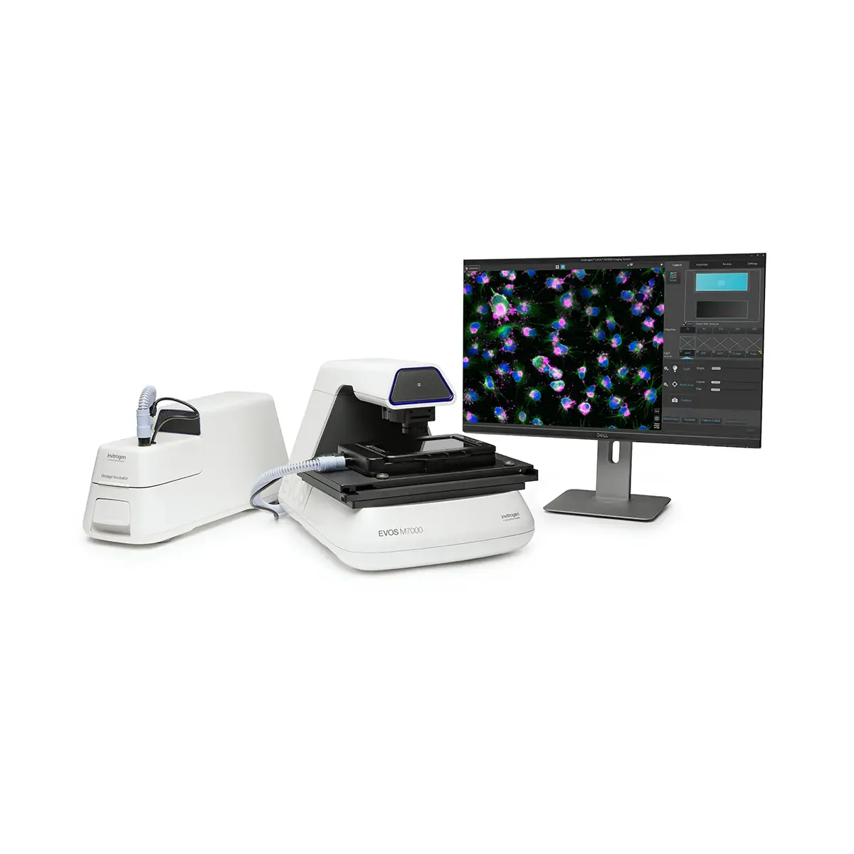 INVITROGEN EVOS M7000 Molecular Imagers