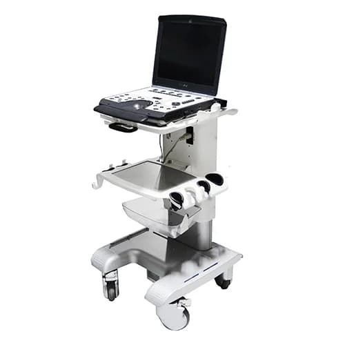 GE Vivid Q Ultrasound Machine