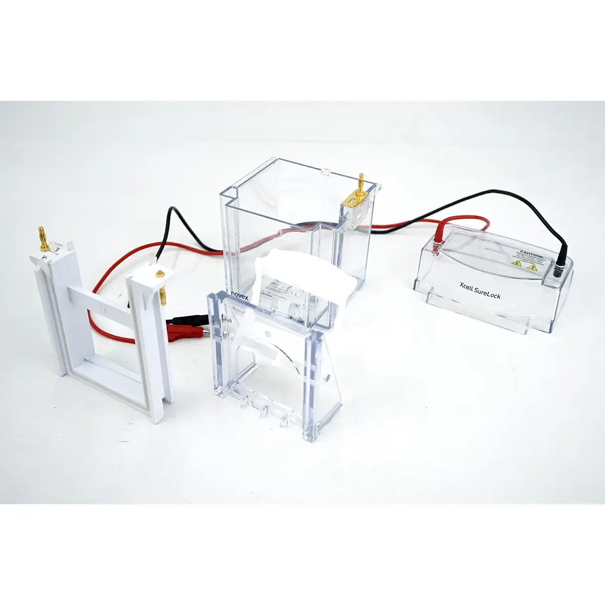 INVITROGEN XCell Surelock Electrophoresis system