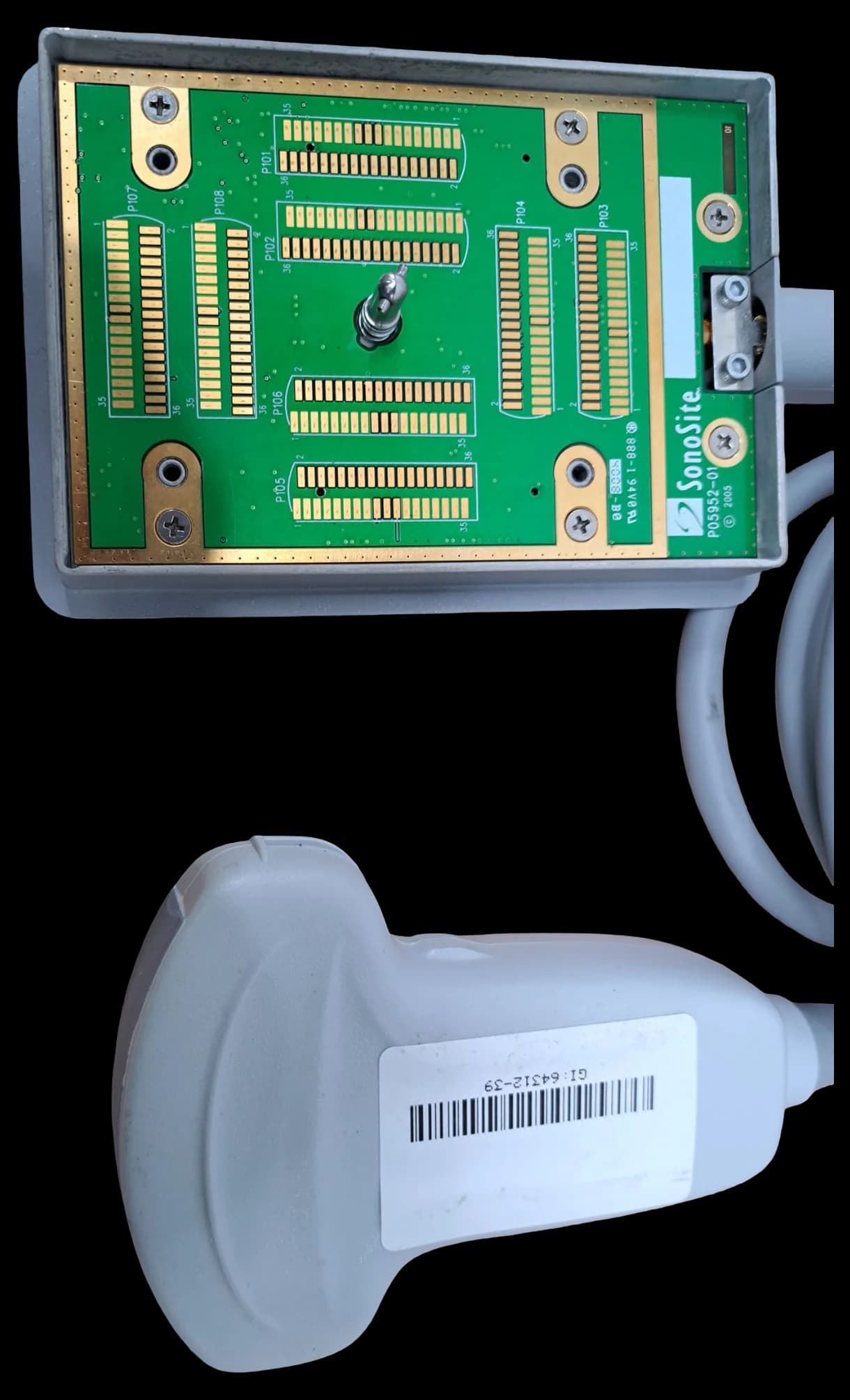 SONOSITE C60x Convex Probe