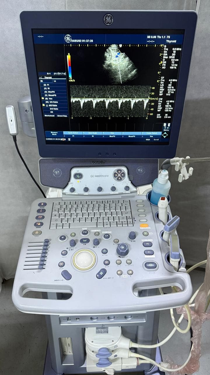GE Logiq P6 Ultrasound Machine