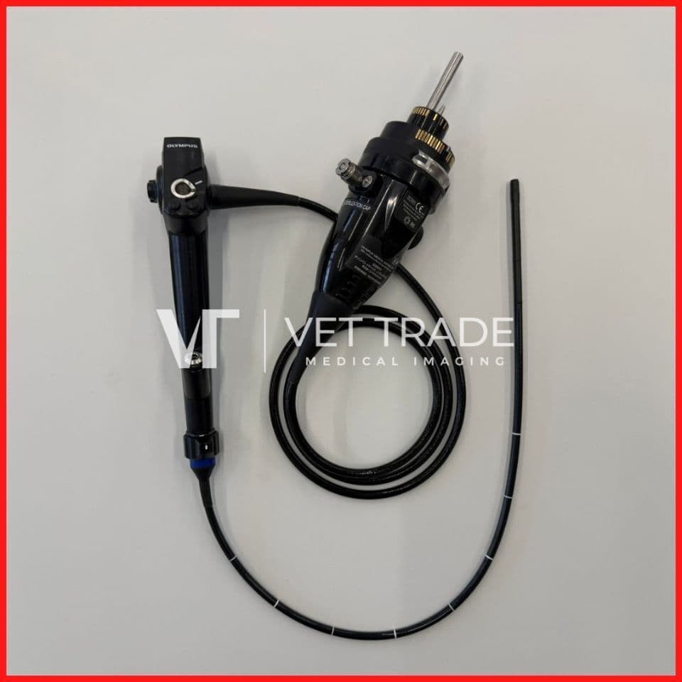 OLYMPUS BF-1TH1100 Video bronchoscope