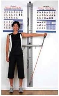 For Sale THERA-BAND Wall Station Total Body Rehabilitation System